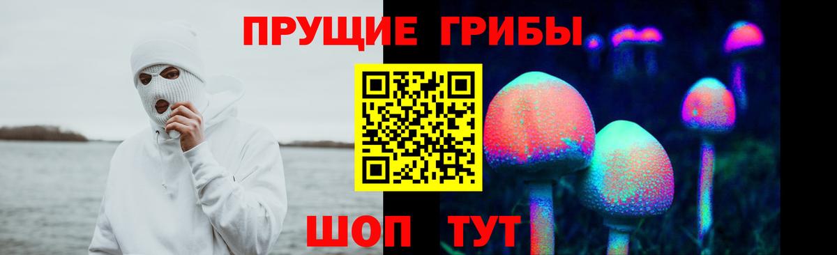 Дивногорск  Псилоцибиновые грибы Cubensis  Вход с VPN  Псилоцибиновые грибы Cubensis 